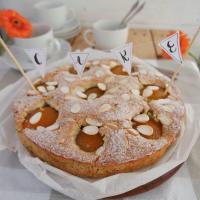 Aprikosen-Mohn-Joghurtkuchen