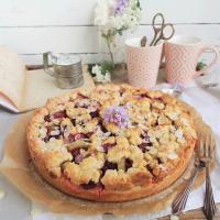 Rhabarberkuchen mit Himbeeren, Pudding und Streuseln