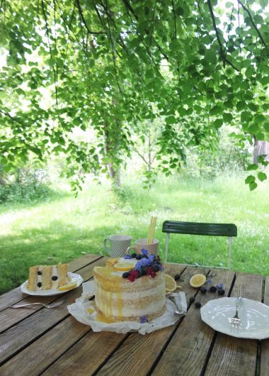 Zitronen Blaubeer Torte (naked cake)