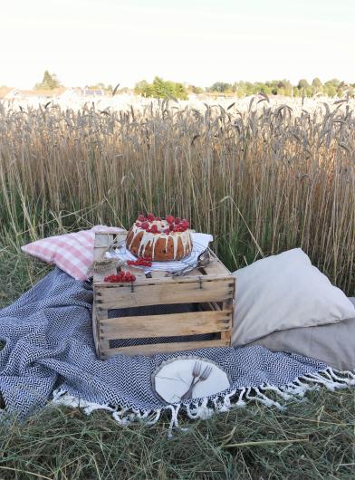 Mohngugel mit Johannisbeeren und weißer Schokolade