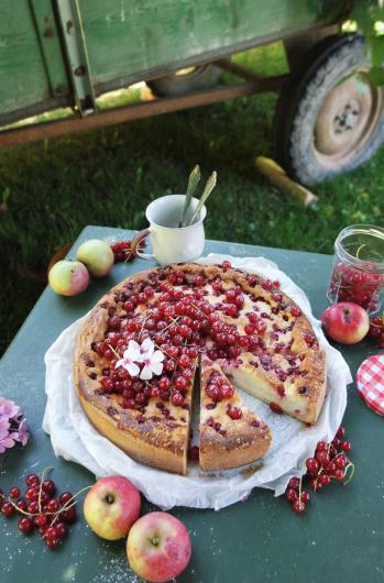 Käsekuchen mit Johannisbeeren