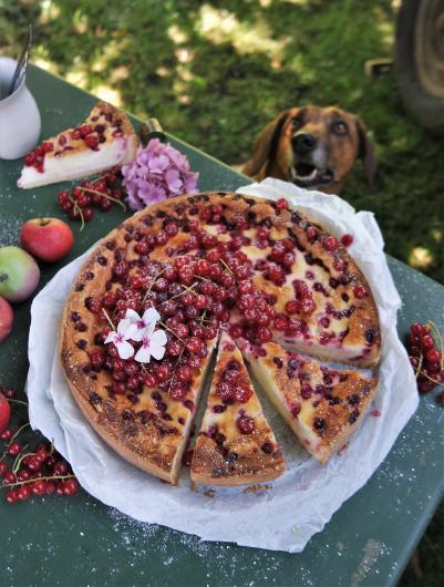 Käsekuchen mit Johannisbeeren